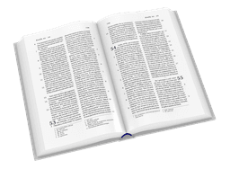 image du produit Bible Darby format standard, souple gris