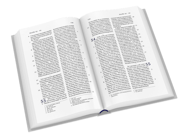 image du produit Bible Darby format standard, souple gris
