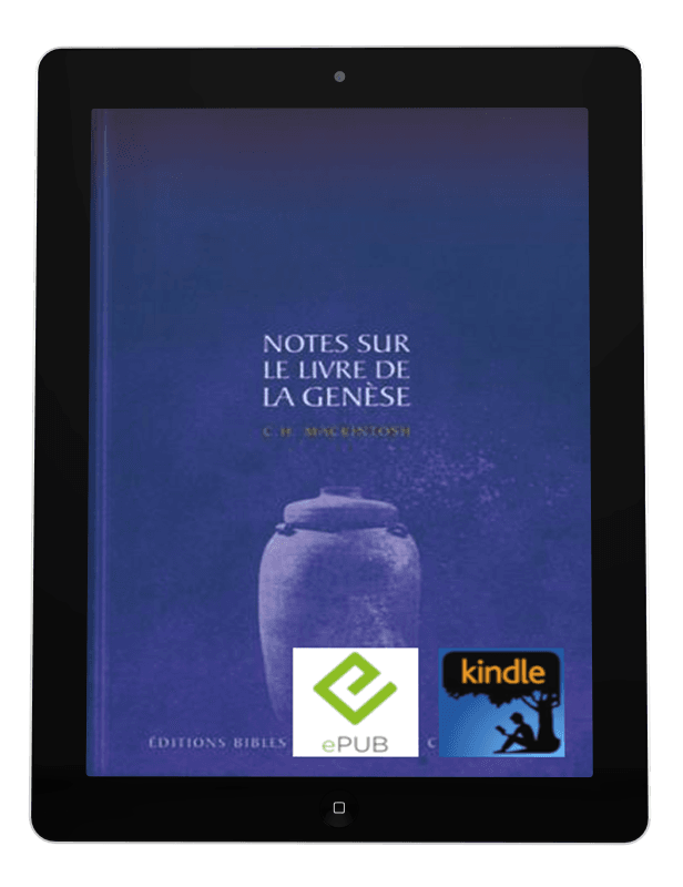 image du produit Notes sur le livre de la Genèse -eBook