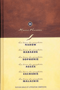 image du produit Méditations (Vol. 11) sur Nahum à Malachie