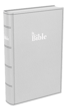 image du produit Bible Darby format compact, souple gris