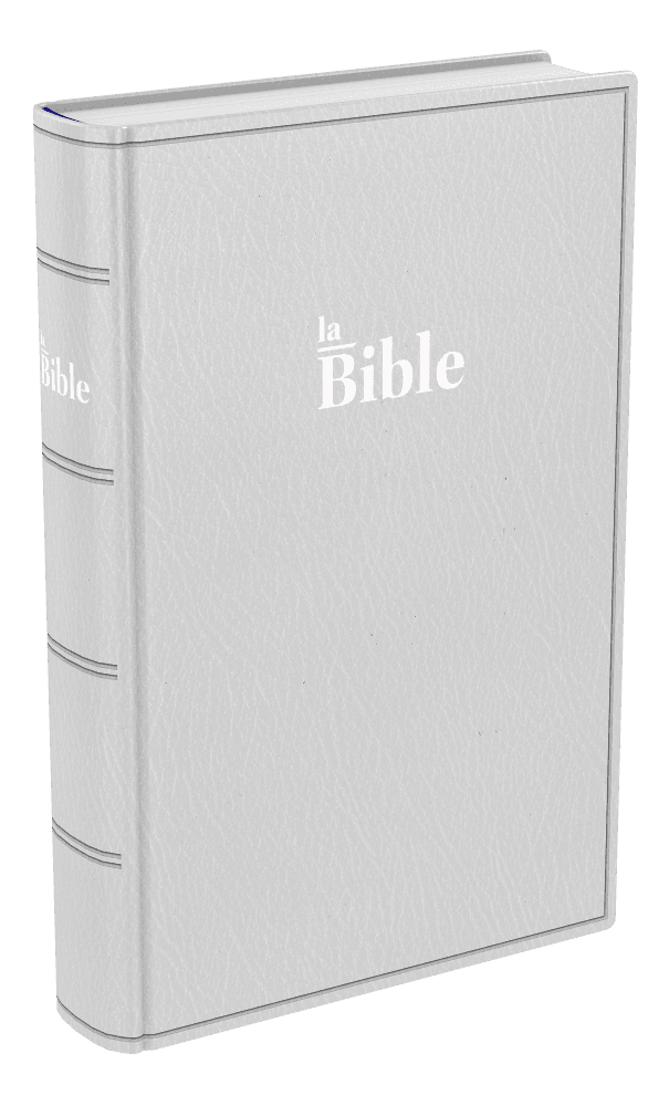 Produit Bible Darby format compact, souple gris