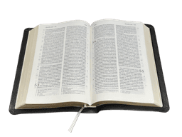 image du produit Bible Darby format standard, cuir noir