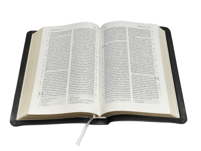 image du produit Bible Darby format standard, cuir noir