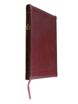 image du produit Bible à rebords cuir grenat, format de poche