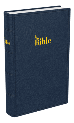 image du produit Bible Darby format compact, souple bleu