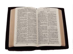 image du produit Bible cuir grenat, petit format