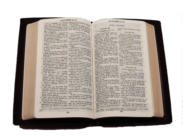image du produit Bible cuir grenat, petit format