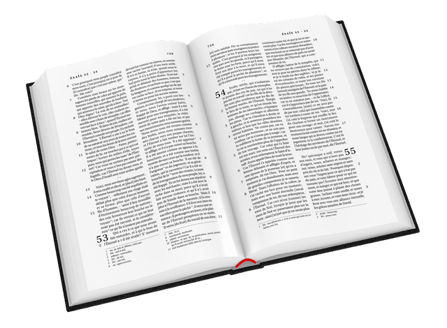 image du produit Bible Darby format standard, rigide noir