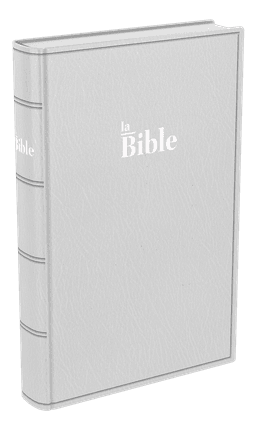 image du produit Bible Darby format standard, souple gris