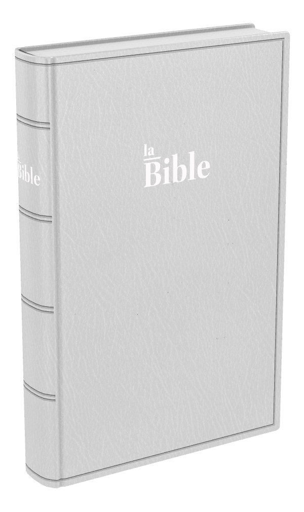 Produit Bible Darby format standard, souple gris