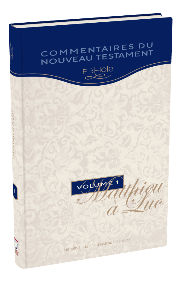 image du produit Matthieu à Luc, FB Hole - Vol 1