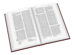 image du produit Bible Darby format standard, rigide grenat