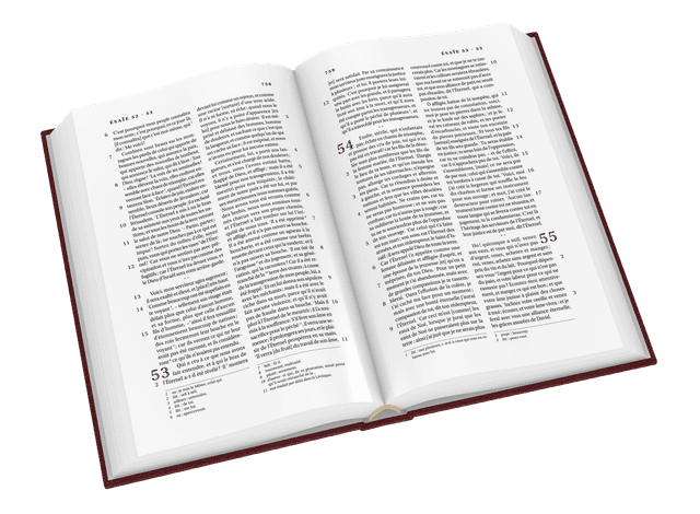 image du produit Bible Darby format standard, rigide grenat