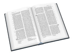 image du produit Bible Darby grand format, souple bleu