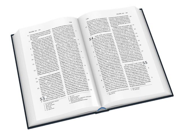 image du produit Bible Darby grand format, souple bleu