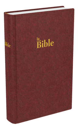 image du produit Bible Darby format compact, rigide brun-rouge