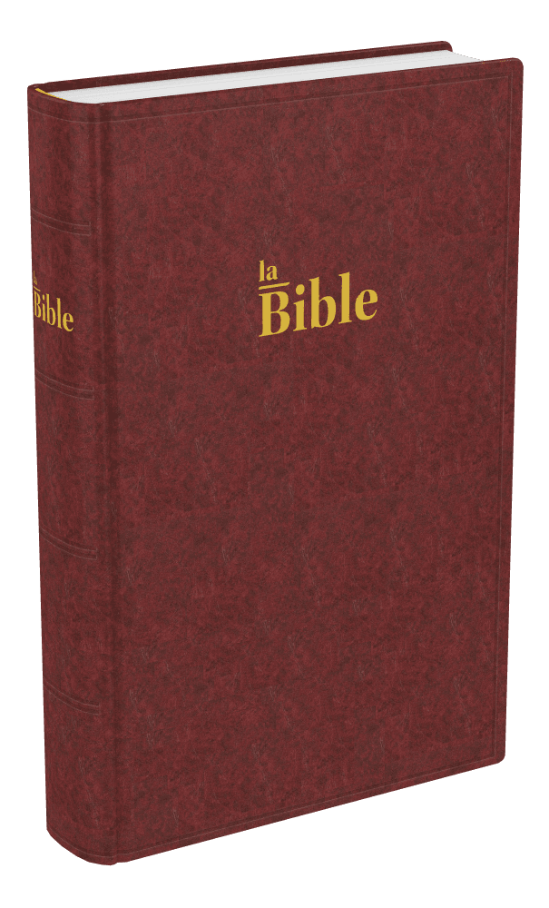 Produit Bible Darby format compact, rigide brun-rouge