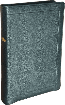 image du produit Bible Darby format standard, cuir noir