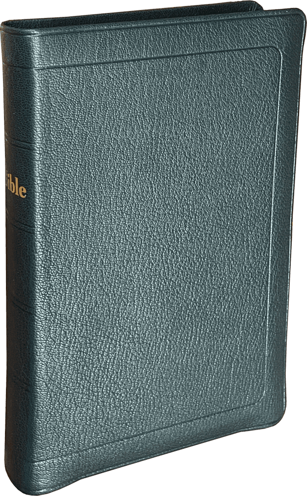 Produit Bible Darby format standard, cuir noir