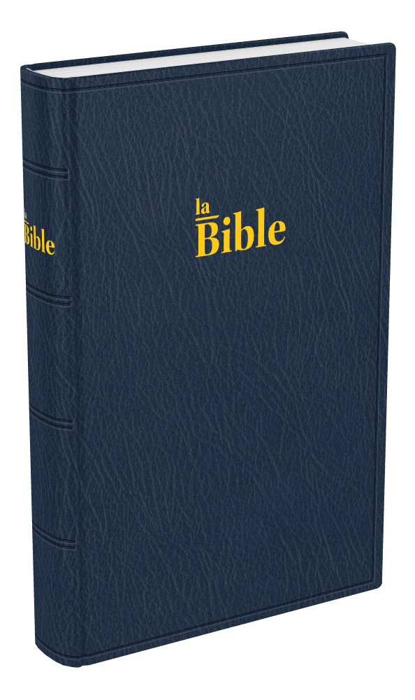 Produit Bible Darby format standard, souple bleu