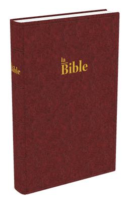image du produit Bible Darby grand format, rigide brun-rouge