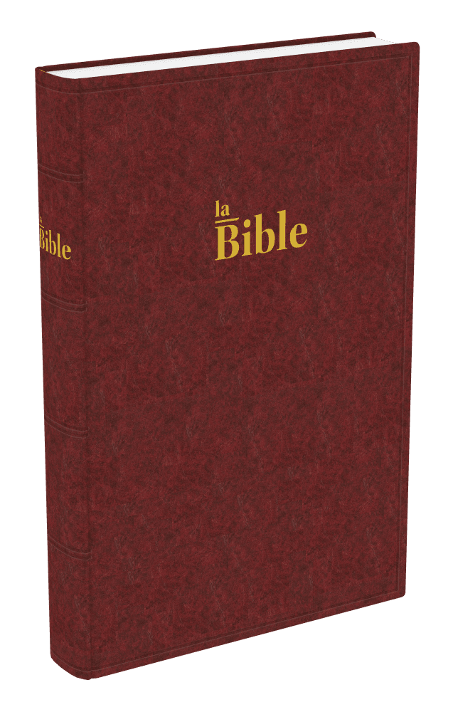 Produit Bible Darby grand format, rigide brun-rouge