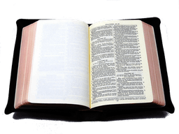 image du produit Bible cuir noir, interfoliée à rebords, format de poche