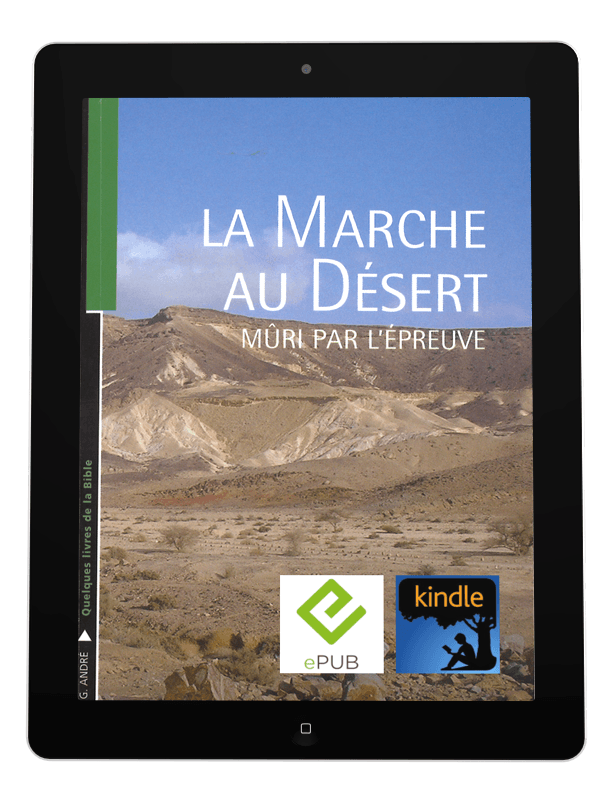 image du produit La marche au désert, mûri par l'épreuve -eBook