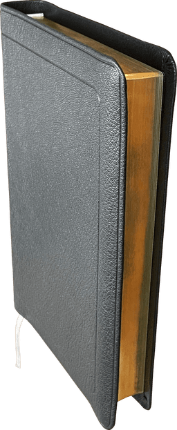 image du produit Bible Darby format standard, cuir noir