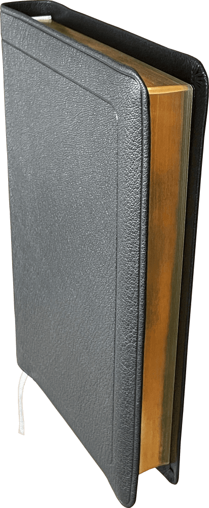 image du produit Bible Darby format standard, cuir noir