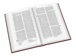image du produit Bible Darby grand format, rigide brun-rouge