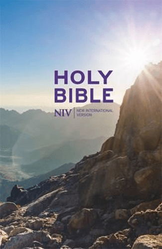 image du produit Bible, anglais, cartonné, petit format