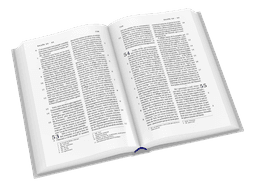 image du produit Bible Darby format compact, souple gris